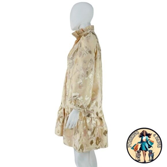 Tuckernuck NEW Champagne Fil Coupe Palmerston Formal Mini Dress Size L - Picture 5 of 8